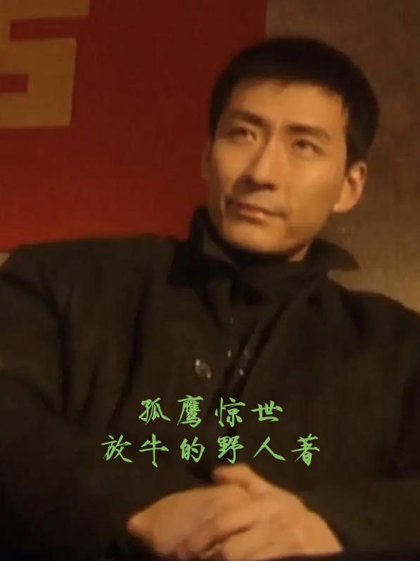 精灵宝可梦pokemon